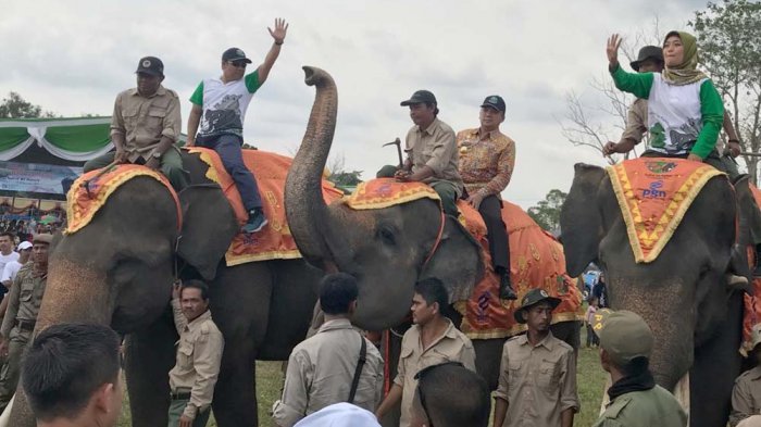 Festival Way Kambas 2025 Dorong Bangkitkan Pariwisata Lampung Timur