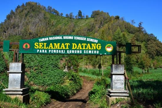 Erupsi Gunung Semeru, TNBTS Tutup Jalur Pendakian dan Evakuasi 178 Pendaki dari Ranu Kumbolo