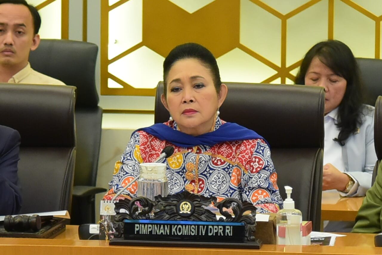 Komisi IV DPR Bentuk Panja Alih Fungsi Lahan untuk Cegah Banjir Bandang