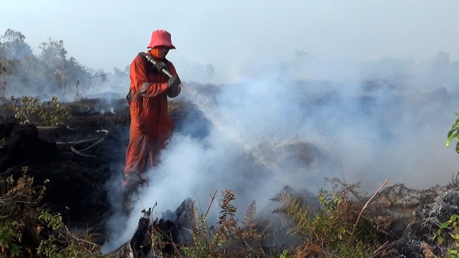Kebakaran Lahan Aceh Barat Meluas, Luas 19 Hektare