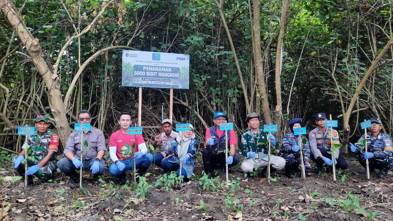 Jasa Raharja DIY dan PNM Tanam 5.000 Mangrove, Wujud Nyata Green Impact untuk Pesisir Bantul