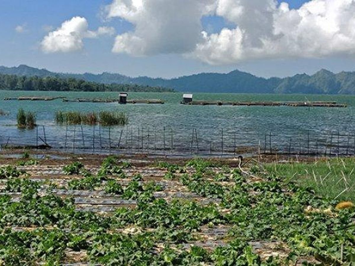 Akademisi Udayana Ingatkan Ancaman Serius terhadap Ekosistem Danau Bali