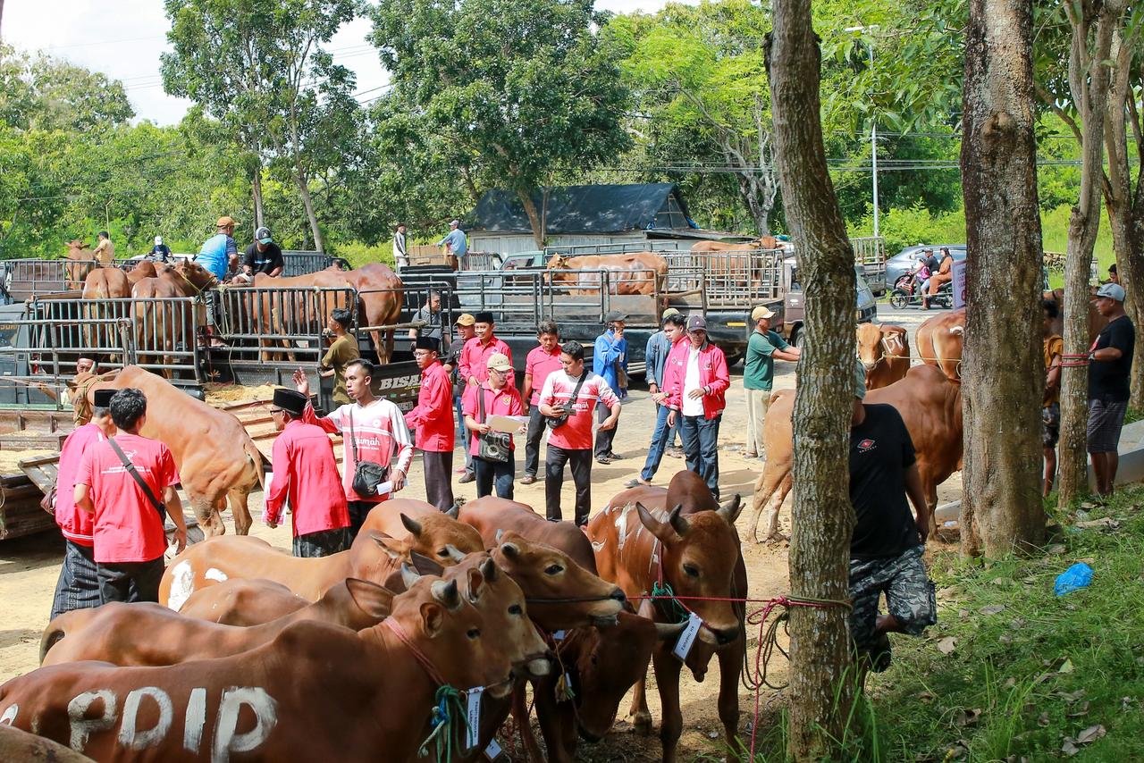 Said Abdullah: Kurban PDIP Jadi Wujud Berbagi untuk Wong Cilik di Jawa Timur