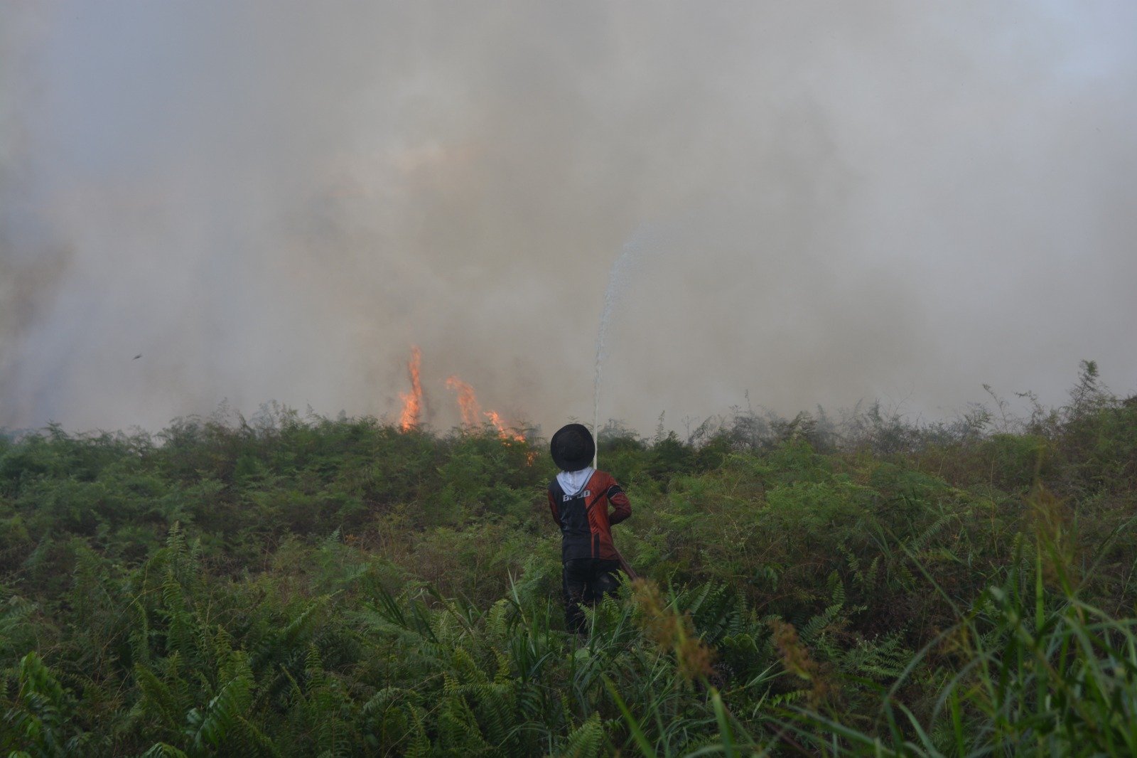 BPBD Aceh Barat Catat 29,1 Hektare Lahan Terbakar, Pemadaman Masih Berlangsung