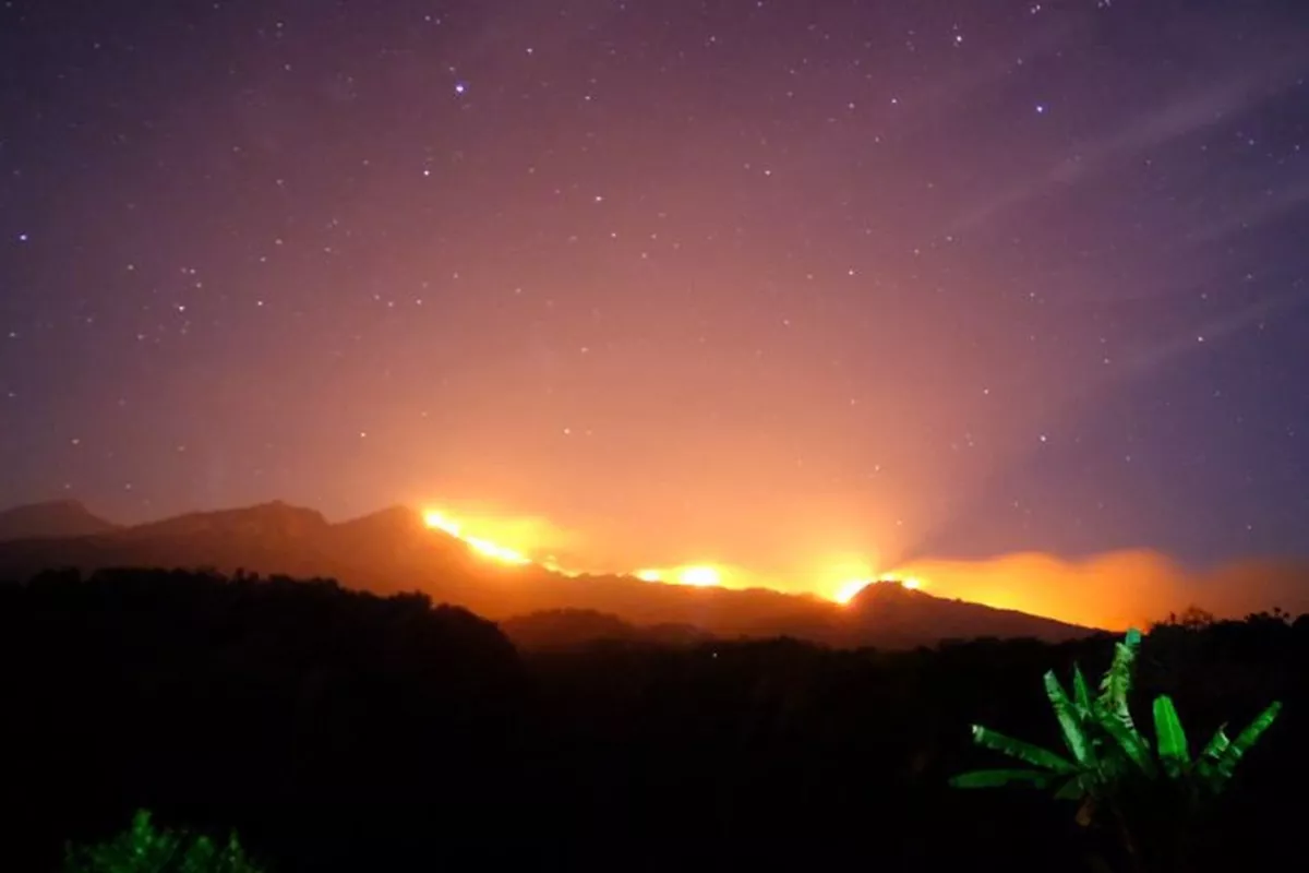 Kebakaran Savana Gunung Rinjani Belum Padam, Petugas Lanjutkan Pemadaman Hari Ini