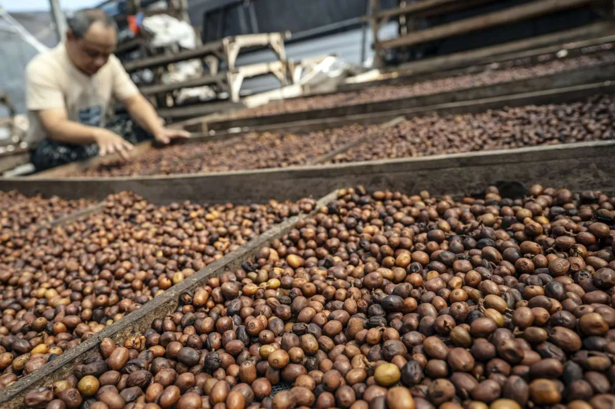 Kemendag: Kopi Indonesia Raup Potensi Transaksi Rp194,2 Miliar di Belgia