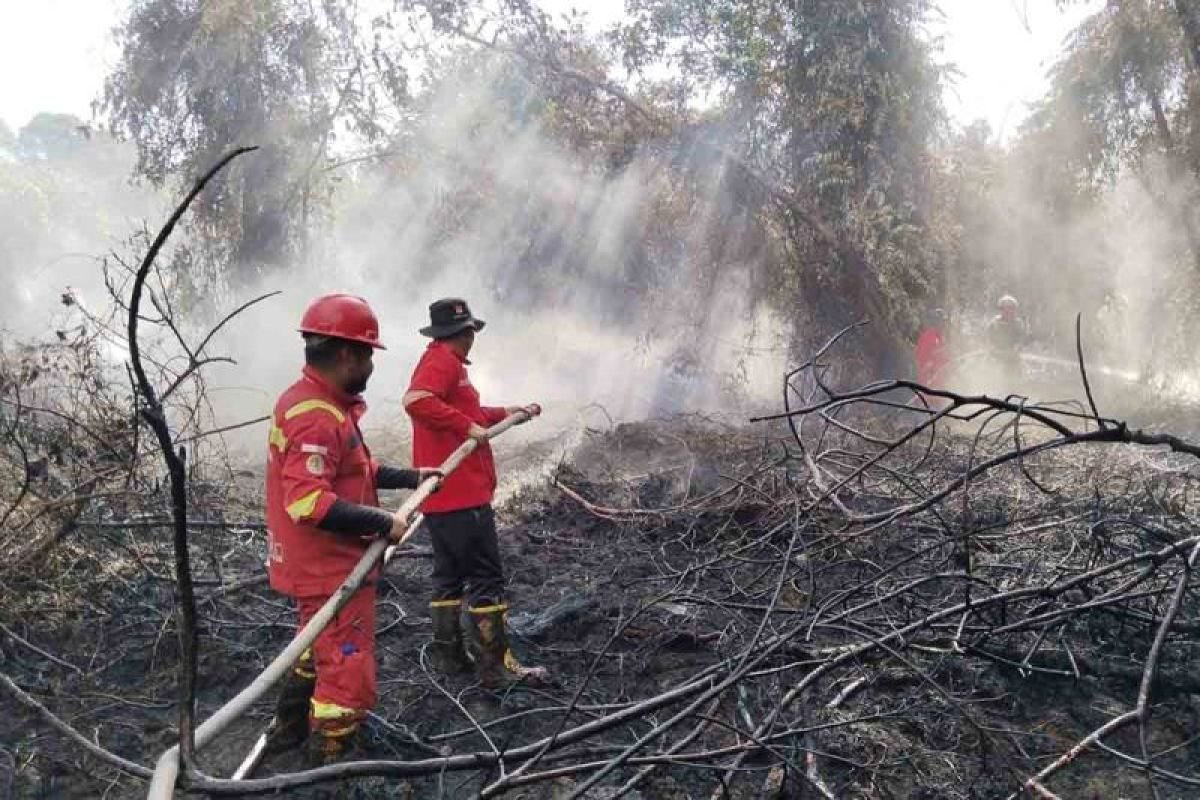 Manggala Agni Padamkan Karhutla Seluas 10,5 Hektare di Aceh Selatan