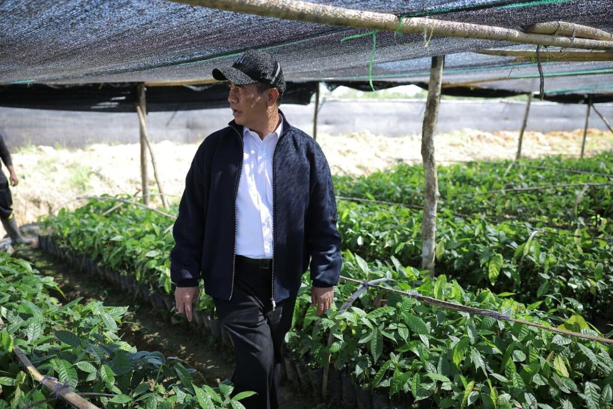 Mentan Siapkan Benih Unggul Gratis untuk Pengembangan 870 Ribu Hektare Perkebunan
