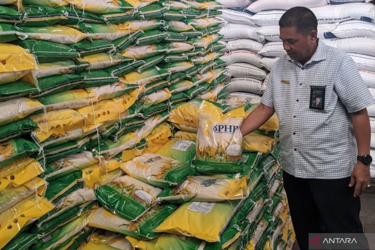 Pengadaan Pangan Bulog Dorong Efek Ekonomi Rp48,54 Triliun dan Perkuat Ketahanan Pangan