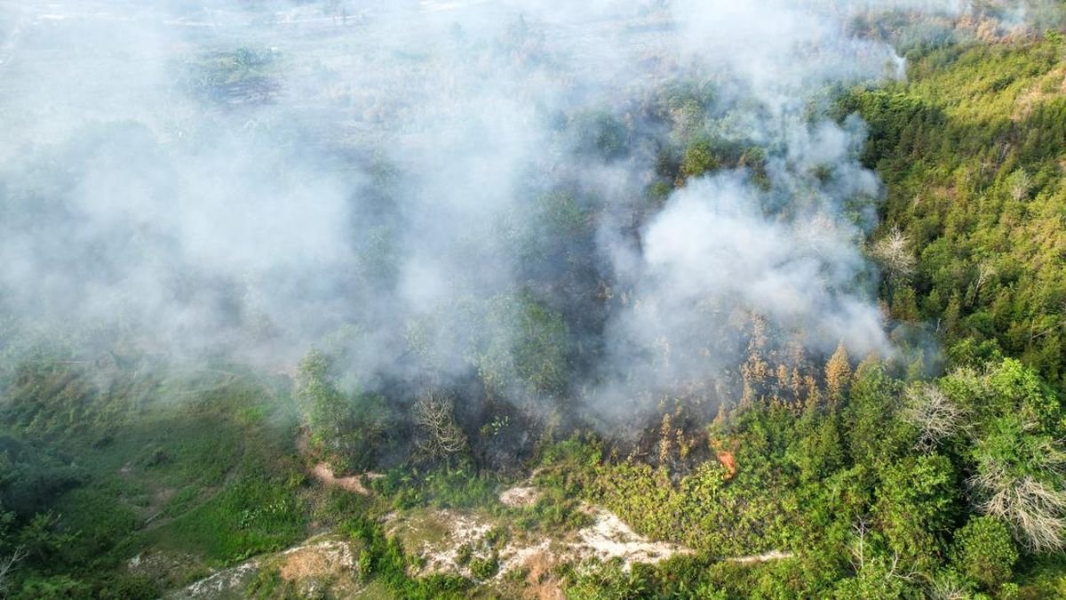 Instruksi Mendagri: Buka Lahan dengan Membakar Dilarang saat Karhutla