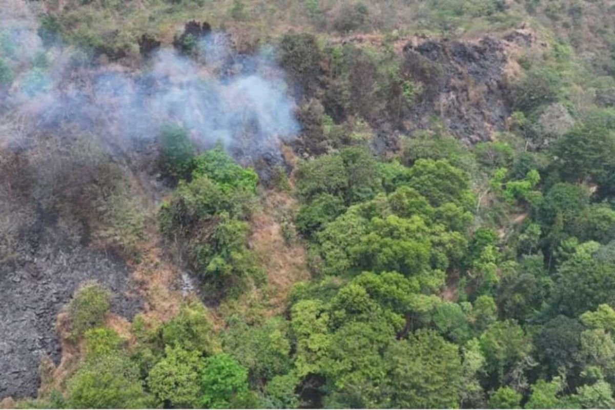 BPBD Kuningan Padamkan Kebakaran Lahan Seluas 4 Hektare di Kawasan TNGC