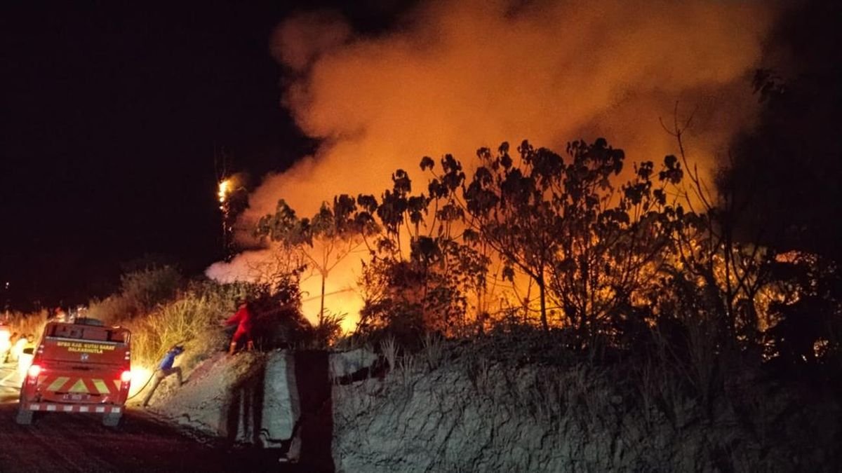 BNPB Catat 1.566 Hektare Lahan Masih Terbakar akibat Karhutla di Kalimantan