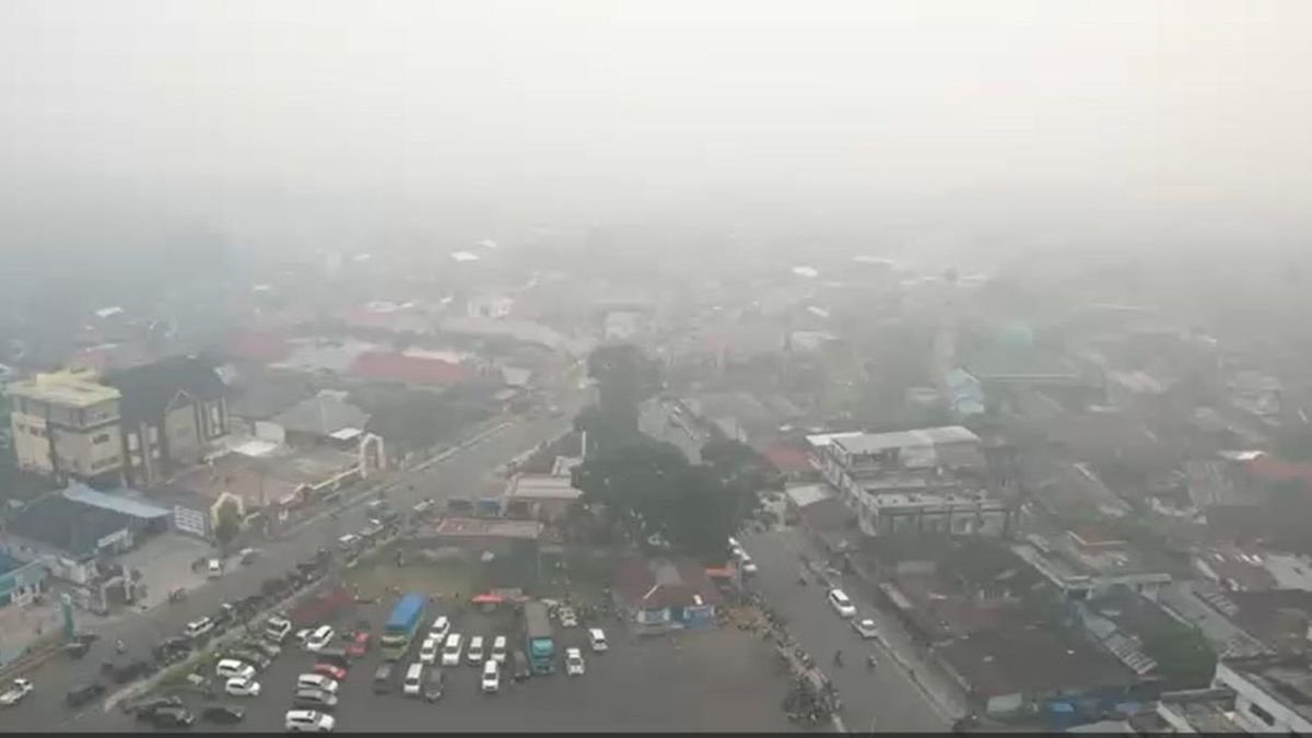 BMKG Catat Kualitas Udara Bengkulu Kategori Baik hingga Sedang, Kepahiang Terdampak Asap