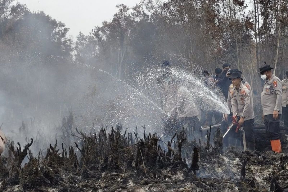 BNPB Laporkan 639 Hektare Lahan Masih Terbakar, Tanjung Puting Jadi Titik Terbesar