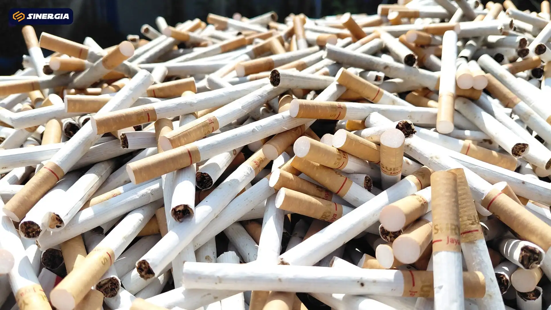 DJBC Tindak 1,2 Miliar Batang Rokok Ilegal hingga September 2026 DJBC Tindak 1,2 Miliar Batang Rokok Ilegal hingga September 2026